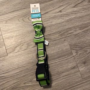 Martha Stewart pets fashion dog collar